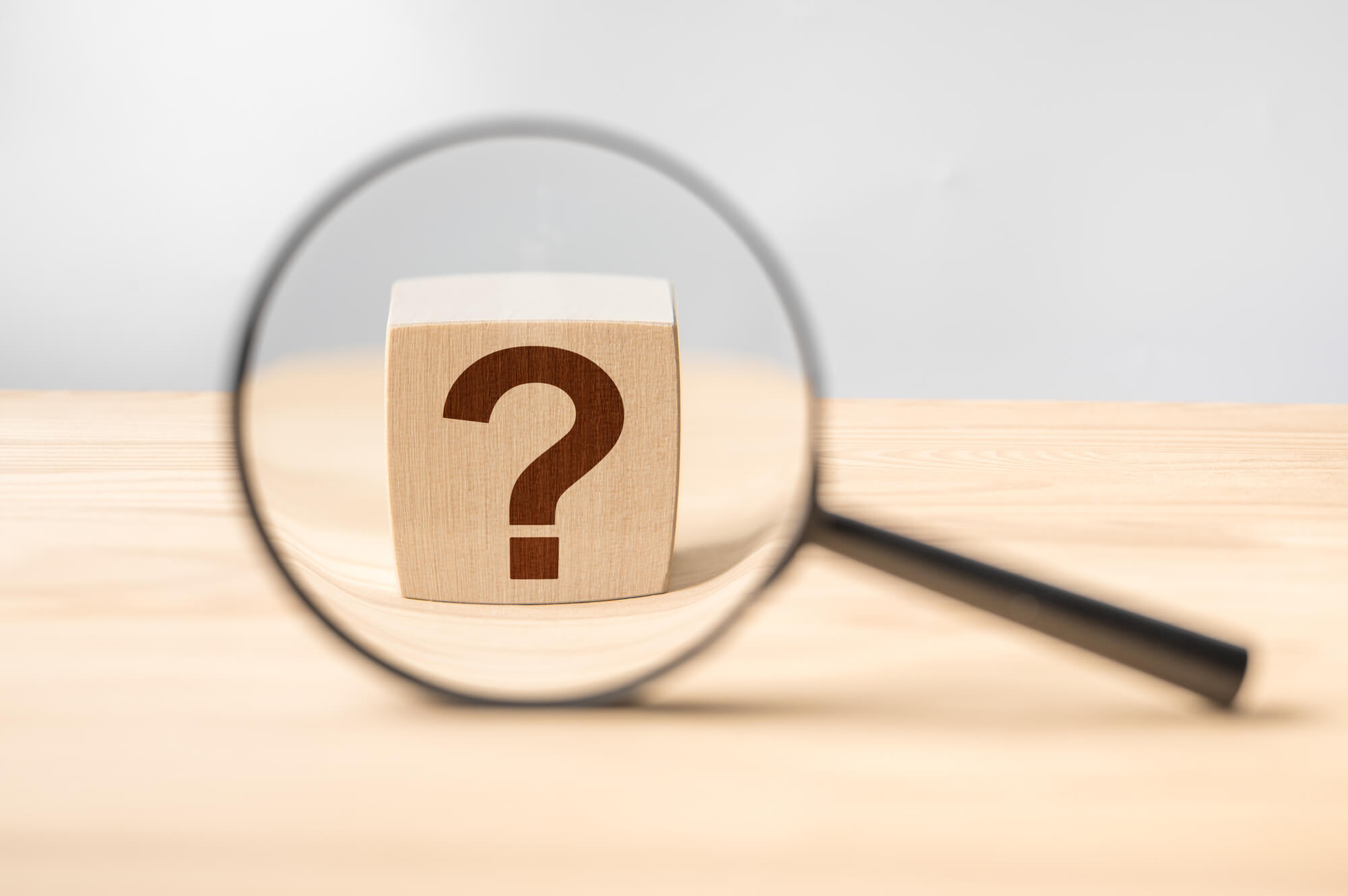 柴犬についてよくある質問